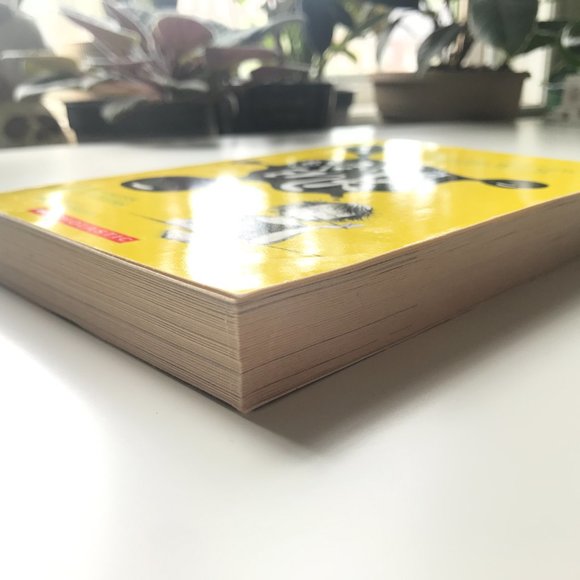 🛍️ 2 For $15 🛍️ Spilling Ink: A Young Writer's Handbook Paperback Book - Picture 6 of 10